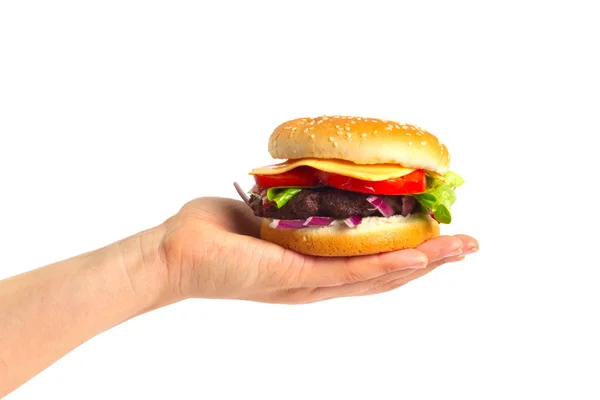 Gustoso cheeseburger — Foto Stock