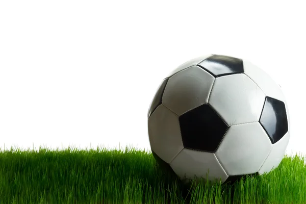 ฟุตบอลบนหญ้า — ภาพถ่ายสต็อก