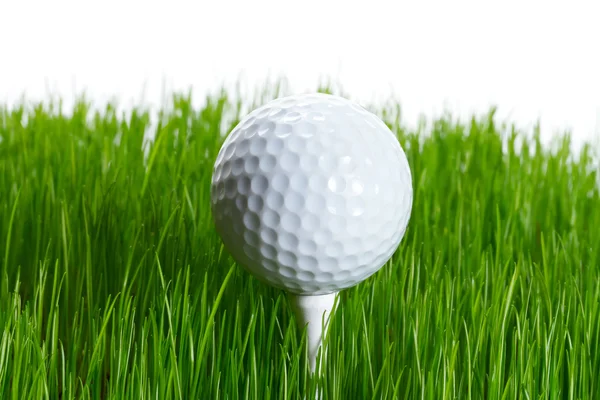 Tee Golf topu — Stok fotoğraf