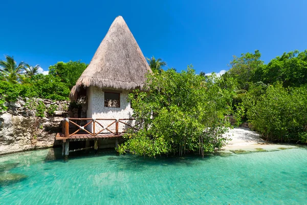 Idyllic Mexican jungle scenery — Stock Photo, Image