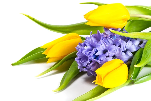 Bunch of tulips and hyacinths — Stock Photo, Image