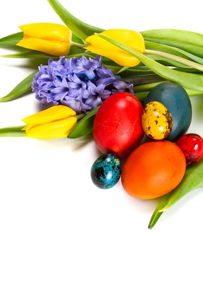 Œufs de Pâques avec fleurs de printemps — Photo