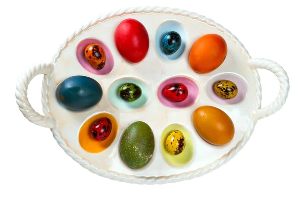 Colorful Easter egg tray — Stock Photo, Image