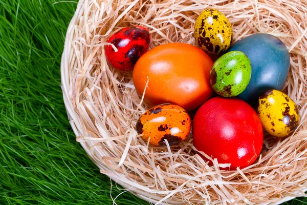 Uova di Pasqua dipinte — Foto Stock