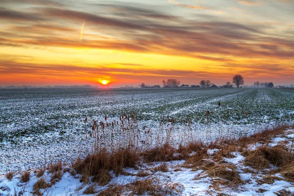 Pôr-do-sol idílico sobre prado nevado — Fotografia de Stock
