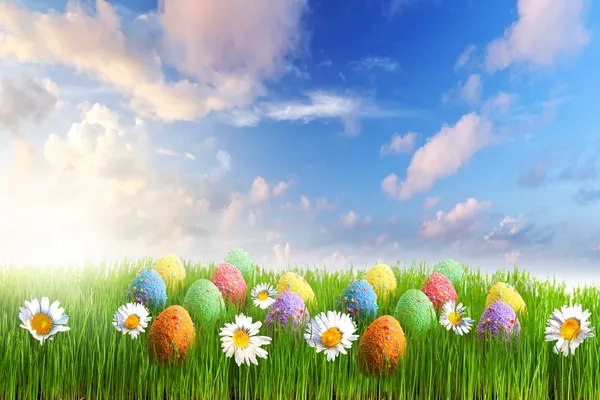 Renkli Paskalya yumurta çiçeklerle dekore edilmiştir. — Stok fotoğraf