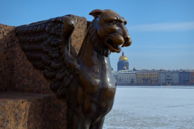 Griffin in St. Petersburg clipart