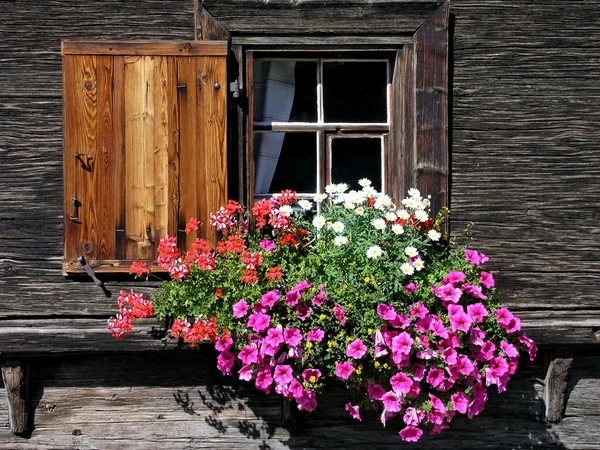 Květinové okno — Stock fotografie
