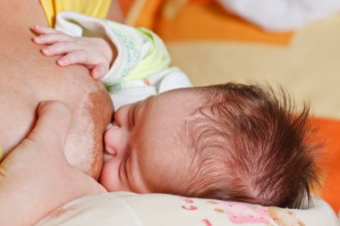 Baby girl sucking at her mother's breast clipart