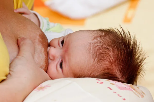 stock image Baby girl sucking at her mother's breast