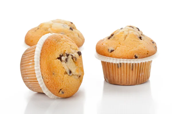 Sjokoladebiter Muffin – stockfoto