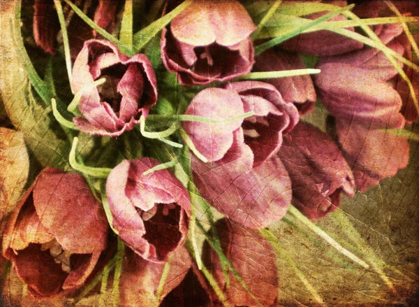 Vintage tulpaner grunge från fotografi — Stockfoto