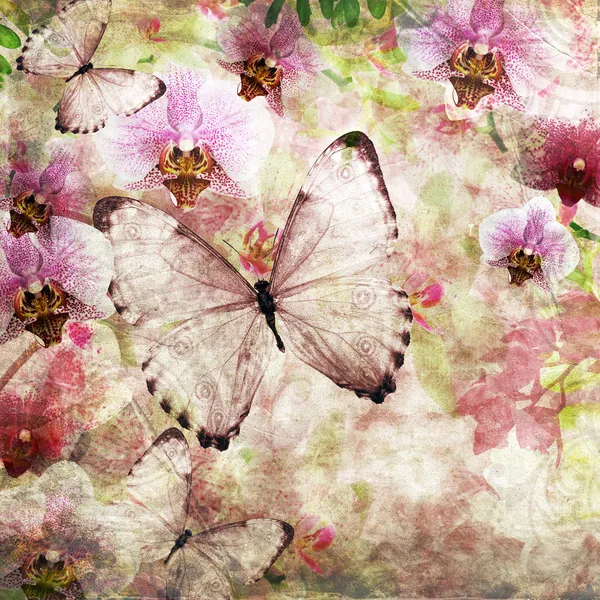 Motyle i storczyków kwiaty różowe tło (1 zestaw) — Zdjęcie stockowe