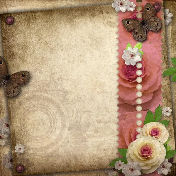 Vintage background with butterfly and roses for congratulations — Stock Photo, Image