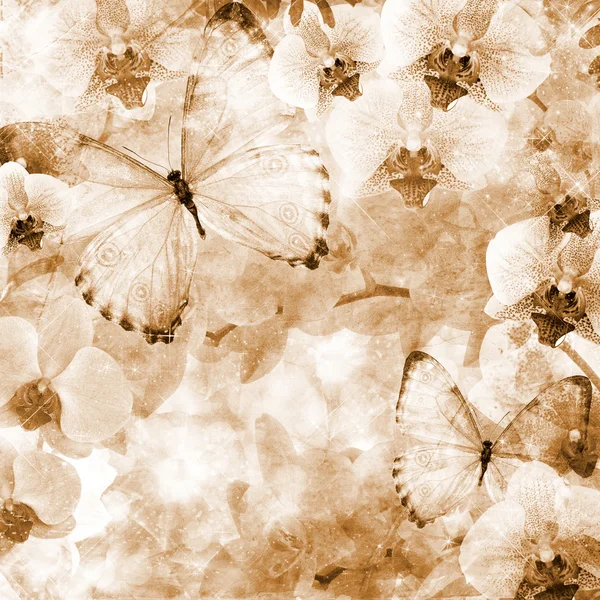 Schmetterlinge und Orchideen Blumen rosa Hintergrund (1 von set) — Stockfoto