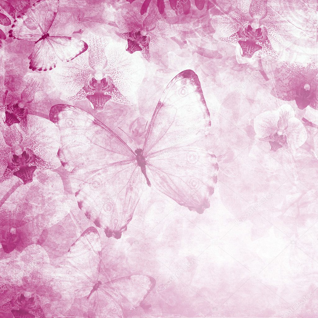 Butterflies and orchids flowers pink background ( 1 of set)