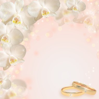 Wedding background with the rings and orchid clipart