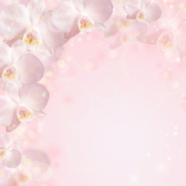 Wedding background with orchid clipart