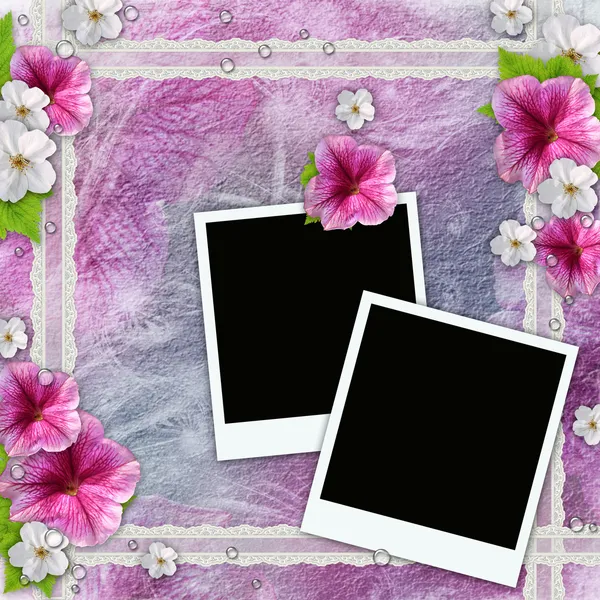 Tło z ramki na zdjęcia, kwiaty, koronki — Zdjęcie stockowe