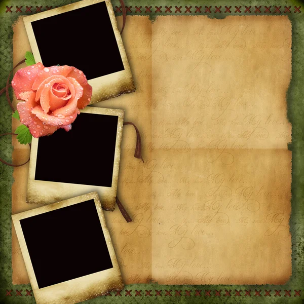 Vintage paper background with elegant three frames and rose — Stock Photo, Image