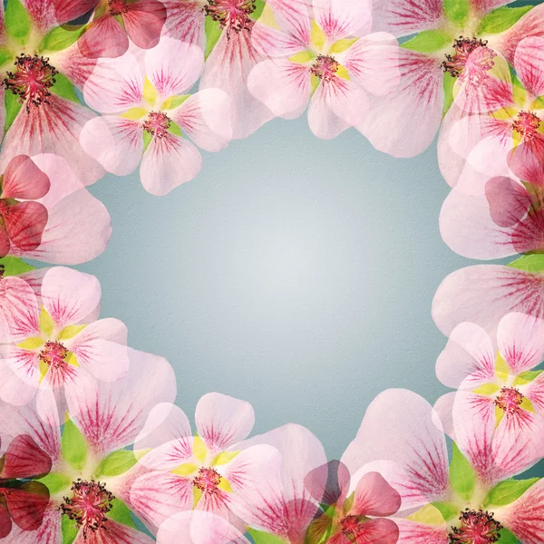 Рожева квіткова рамка з пробілом для копіювання — стокове фото