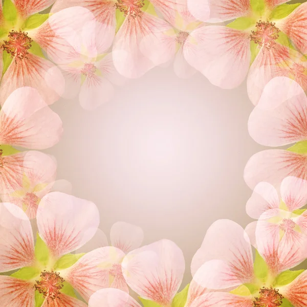 Rózsaszín virág test-val másol hely — Stock Fotó