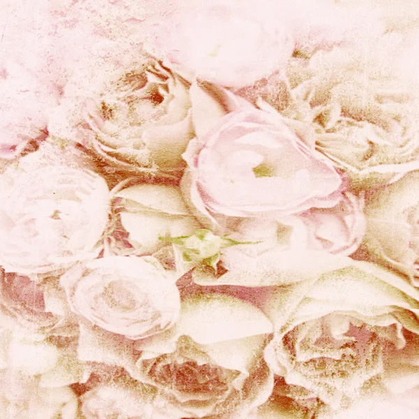 Текстурированный фон с бежевыми розами и пространством для текста — стоковое фото