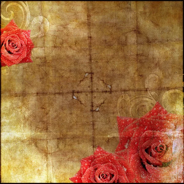 Vackra vintage papper bakgrund med rosor siluett — Stockfoto