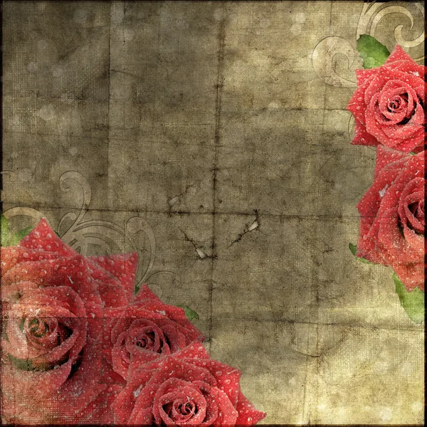 Красивий старовинний паперовий фон з силуетом троянд — стокове фото