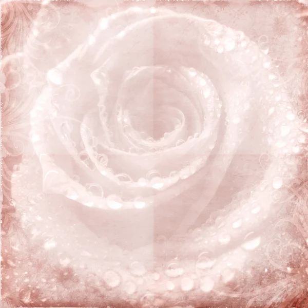 Tederheid roze bruiloft achtergrond met roos — Stockfoto