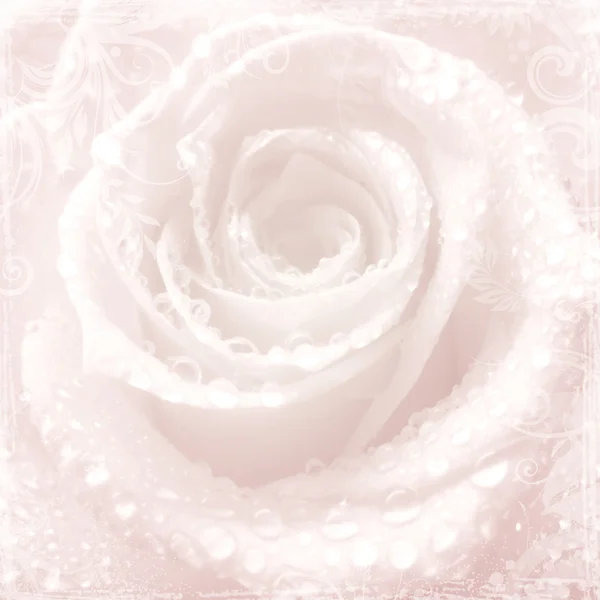 与玫瑰柔情粉色婚礼背景 — 图库照片