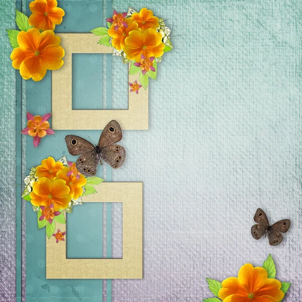 Vintage background with frame for photo, butterfly and yellow fl — Stock Photo, Image
