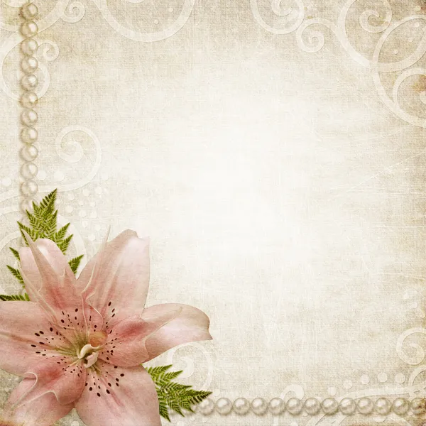 Paper grunge background with pink lily — Stock Photo, Image