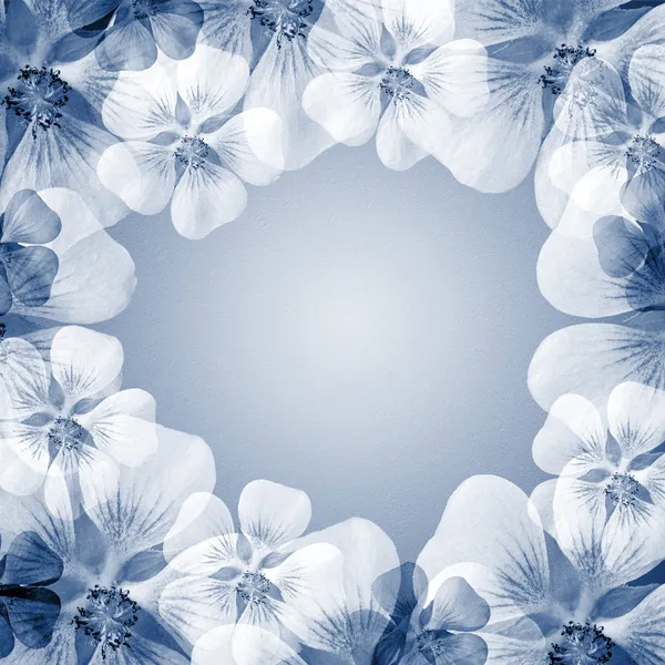 Blue flower frame with copy space — Stock Photo, Image