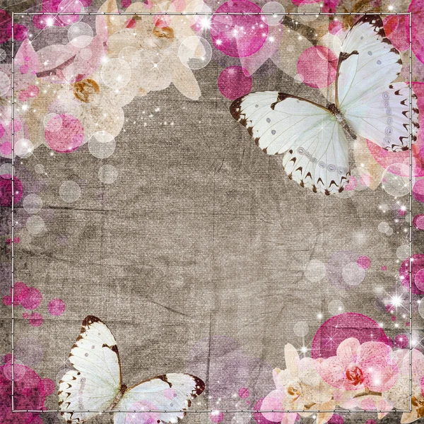 Fjärilar och orkidéer blommor beige bakgrund — Stockfoto