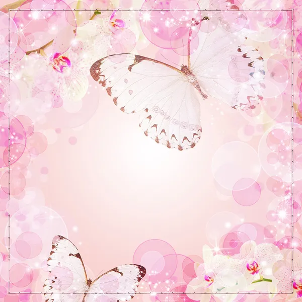 Borboletas e orquídeas flores fundo rosa — Fotografia de Stock