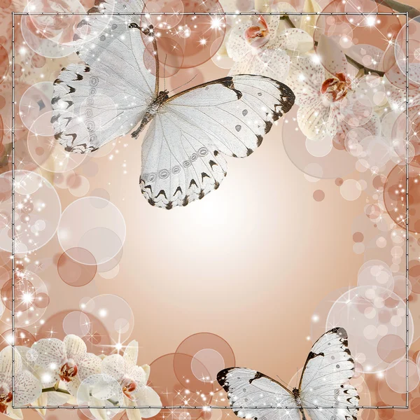 蝴蝶和兰花花米色背景 — 图库照片