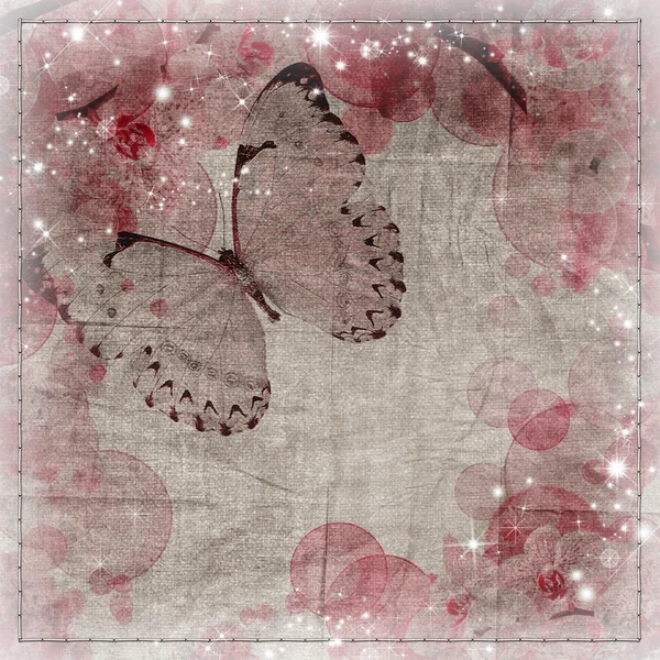 Бабочки и орхидеи цветы бежевый фон — стоковое фото