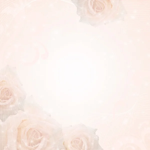Красивый свадебный фон с розами и рамкой — стоковое фото