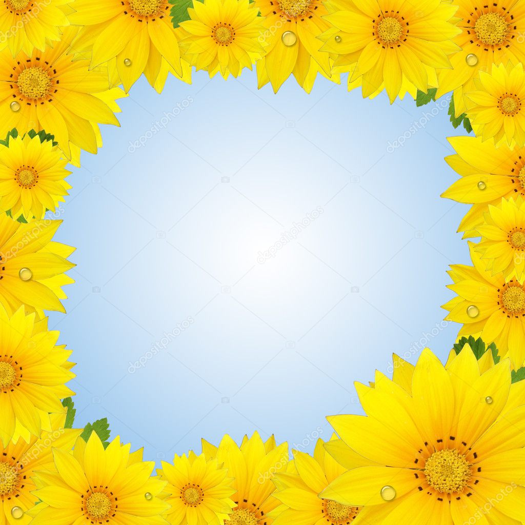Flowers frame with yellow sunflower isolated on sky background