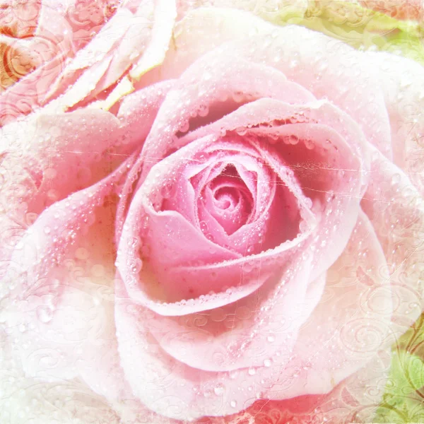 Fundo Rosa bonita — Fotografia de Stock