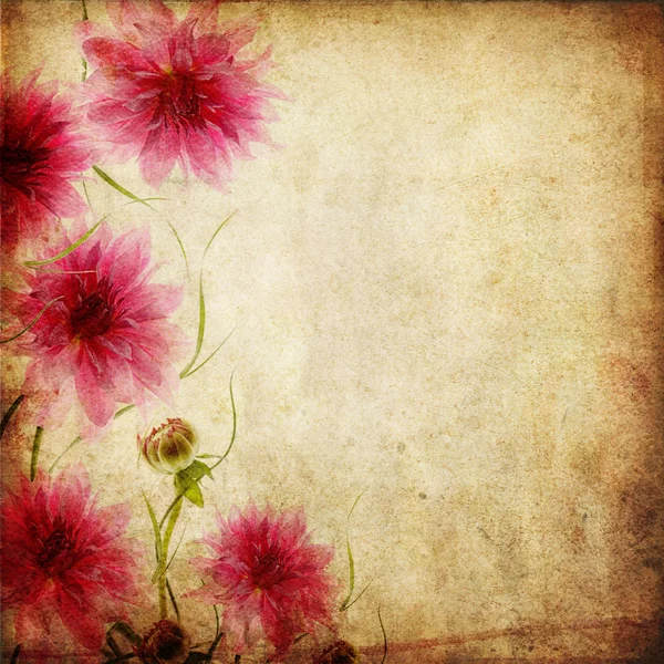 분홍색 꽃을 가진 오래 된 종이 배경 — 스톡 사진