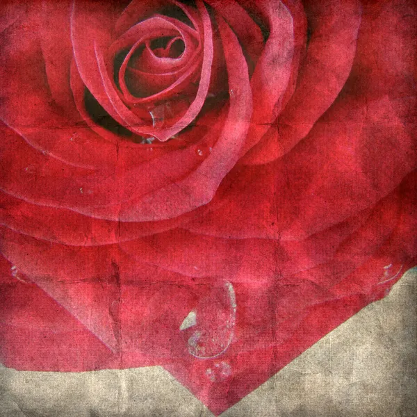 Red rose on the old paper — Stock Photo, Image