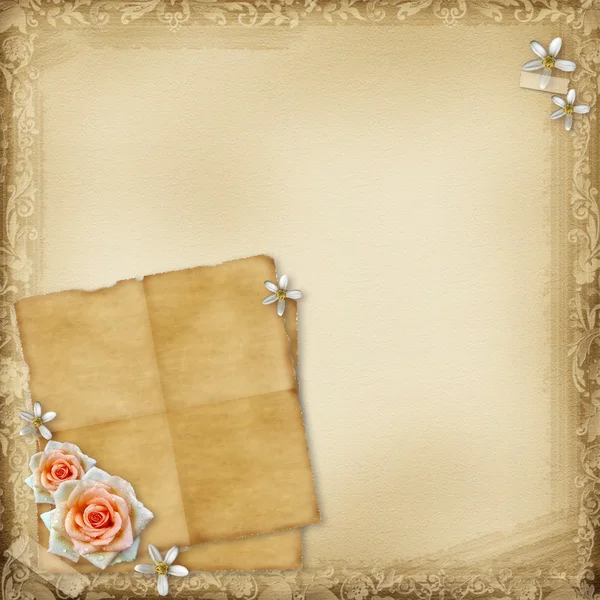 Ancient background with old paper and rose — Stock Photo, Image