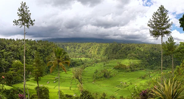 Полевые террасы и гора Агунг, Бали — стоковое фото
