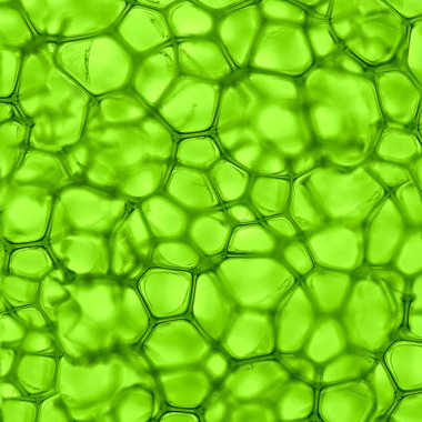 Cell green background