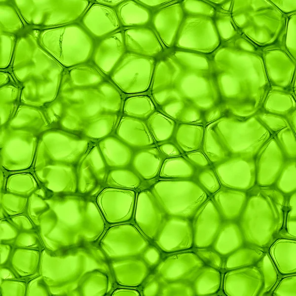 Tło komórki zielony — Zdjęcie stockowe
