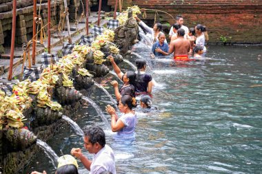 Prayers during purification at Puru Tirtha Empul temple, Bali clipart