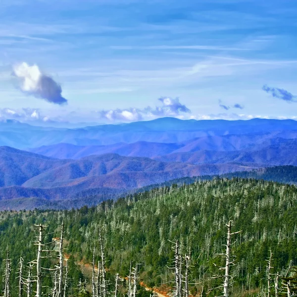 Great Smoky Mountains, США — стоковое фото