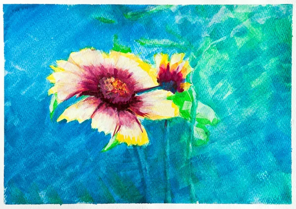 Flowers - watercolor blue painting - Zinnia — Stock Photo, Image